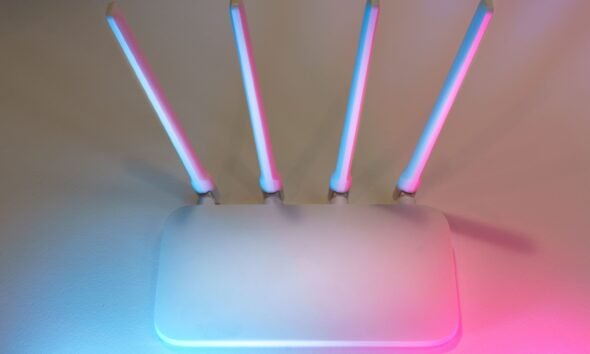 BAYNET